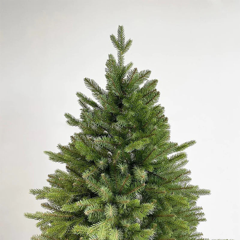 Fir Christmas Tree